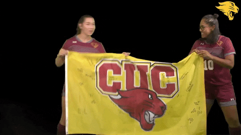 D3Soc Cuc19 GIF by CUCougars