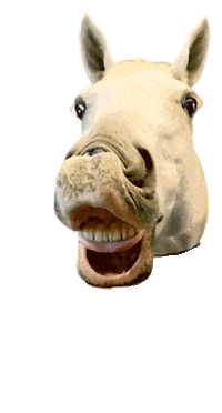 Pet Treats Sticker by Snaks 5th Avenchew