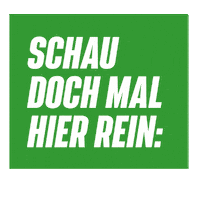 Grüne Sticker by GRÜNES Bamberg