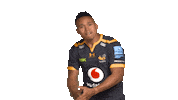 Rugby Sticker by Wasps