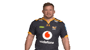 Rugby Sticker by Wasps