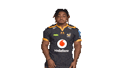 Rugby Sticker by Wasps