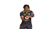 Rugby Sticker by Wasps