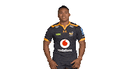 Rugby Sticker by Wasps