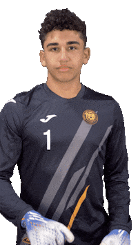 Puerto Rico Concacaf Sticker by Federación Puertorriqueña de Fútbol