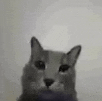 Luis5Spsplit GIF