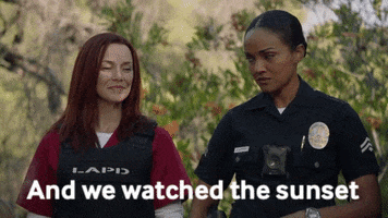 Therookieabc GIF by ABC Network