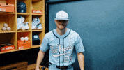 University Of North Carolina Baseball GIF by UNC Tar Heels