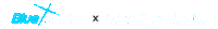 Baax101 Sticker by en.BlueArchive