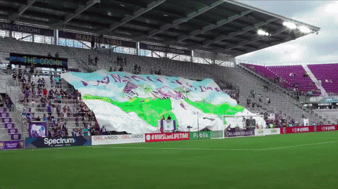GIF by Orlando Pride