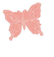 Happy Home Sticker by Freu dich auf Korbach