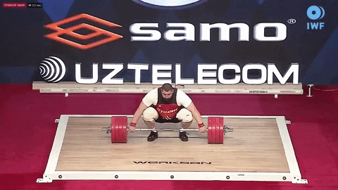 setforset giphyupload GIF