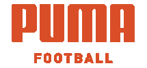 rise above football Sticker by PUMA