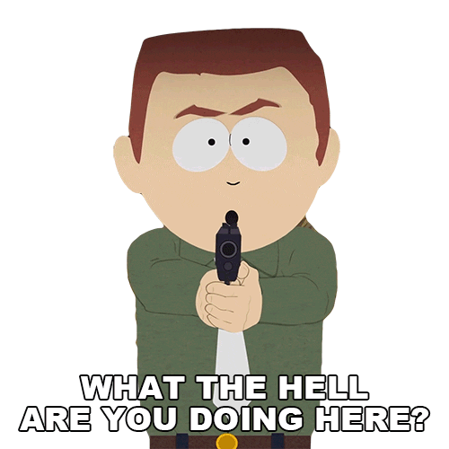 What The Hell Gun Sticker by South Park