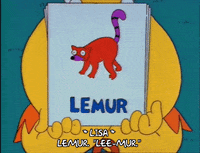 Season 2 Picture GIF by The Simpsons