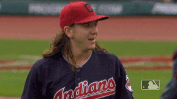 clevinger GIF by MLB