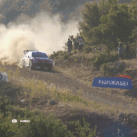 Driving Off-Road GIF by FIA World Rally Championship