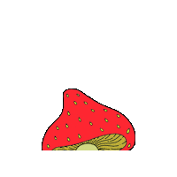 psicocandis druid psicodelia trufas psicocandis Sticker