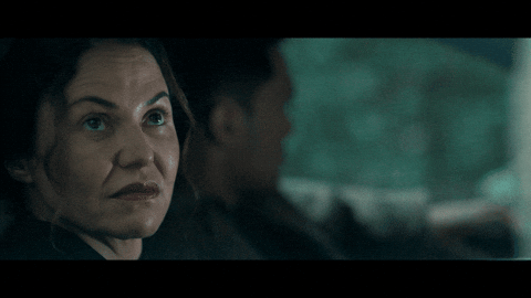 New Zealand Kiwi GIF by End Of The Valley