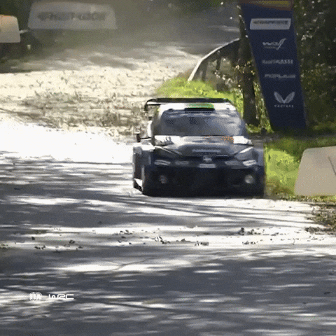 Racing Driving GIF by FIA World Rally Championship