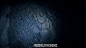 Halloween Reveal GIF by Crypt TV