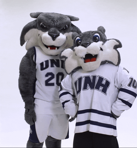 thumbs GIF by University of New Hampshire