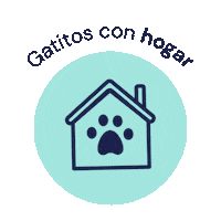 gatitosenaccion gatos gatitos gatitos argentina gatitosenaccionargentina Sticker