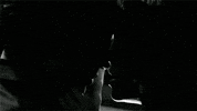 couple love GIF