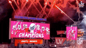 Super Bowl Football GIF by NFL