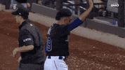 New York Mets Baseball GIF by SNY