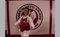 Martial Arts Fighting GIF by Angela Shelton