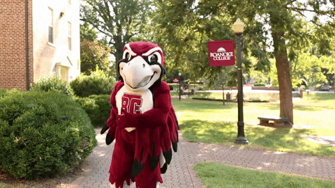 Take A Bow GIF by Roanoke College