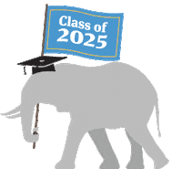 Tufts University Jumbos Sticker by Tufts