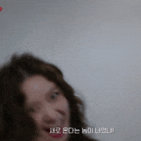 선지 GIF