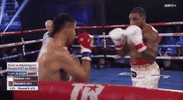 top rank feliperomero GIF by Top Rank Boxing