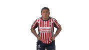 Liga Mx Futbol Sticker by Chivas Oficial