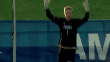 celebrate tulsa golden hurricane GIF by The University of Tulsa
