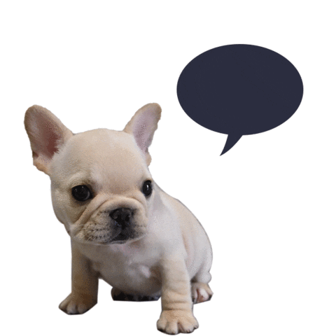 French Love Sticker