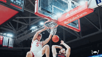 College Basketball Sport GIF by Arkansas Razorbacks