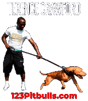 Terence Crawford Pitbull Sticker by Chico Lopez