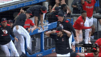 Sport Celebrate GIF by MLB