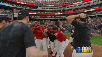 Sport Celebrate GIF by MLB