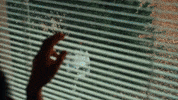 Spying Music Video GIF by Vundabar