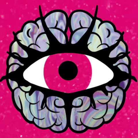 GIF by Pedalbrainz