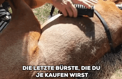 mamiparadise giphyupload GIF