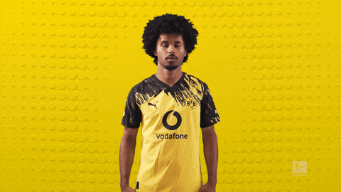 Borussia Dortmund Football GIF by Bundesliga