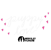 Adopt Puppy Love Sticker by Berkeley Humane
