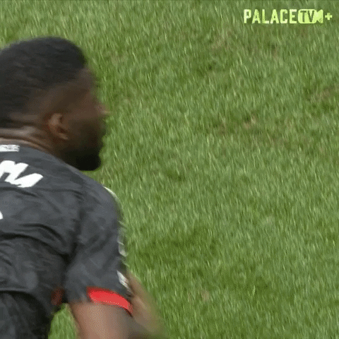 Crystal Palace What GIF by Crystal Palace Football Club