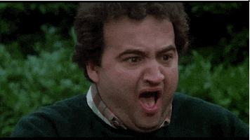 Animal House Reaction GIF