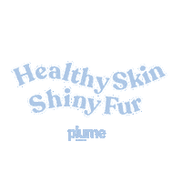Healthy Skin Plume Sticker by plumecare